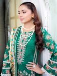 Husn-e-Chaman (حسنِ چمن) - Stitched 3 Piece